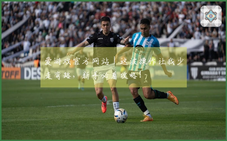 爱游戏官方网站｜这波操作让我少走弯路，新手必看攻略！